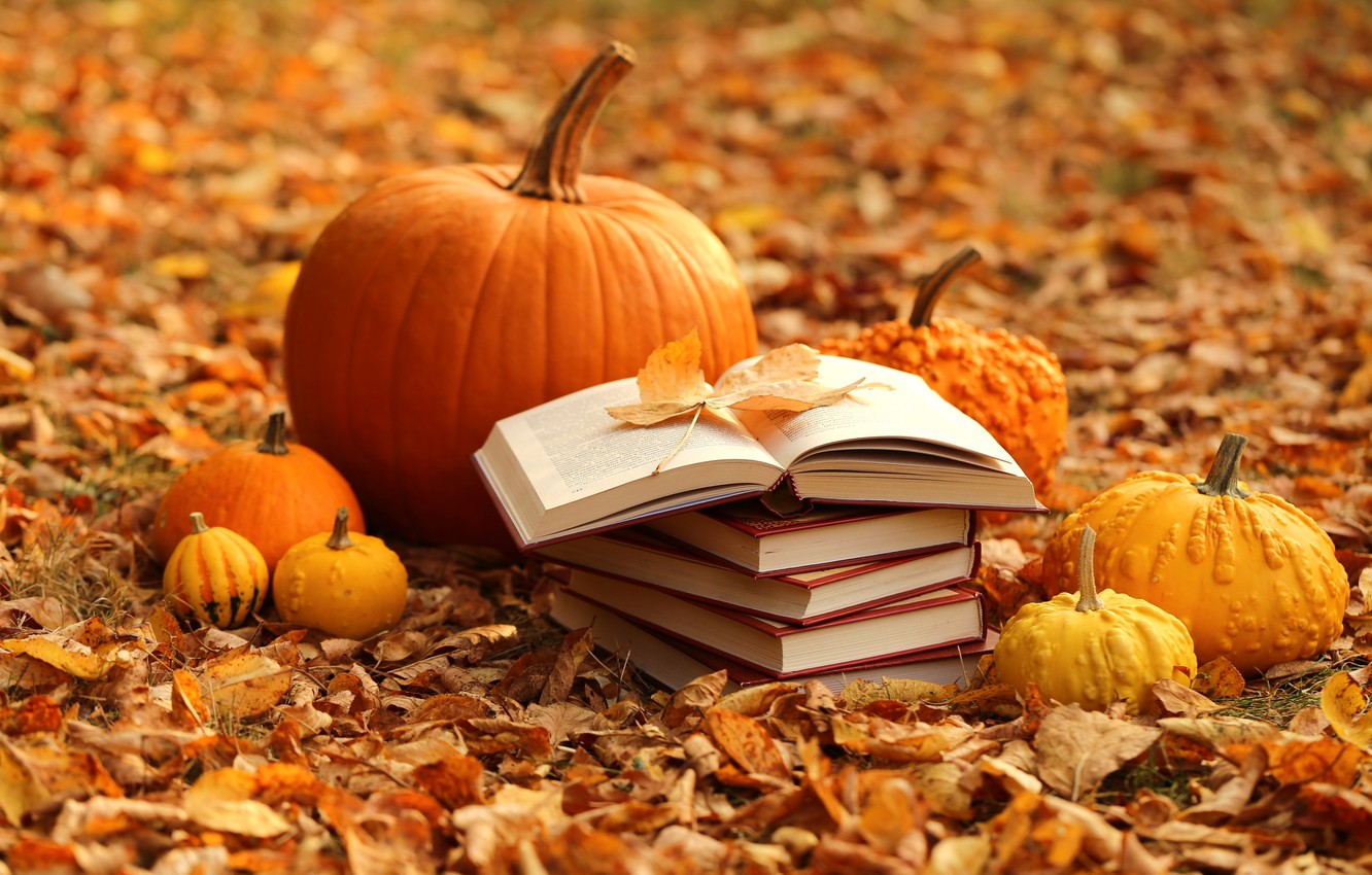 Pumpkin Autumn Challenge 2021 (Bilan)