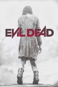 〈Film〉 Evil Dead (2013)