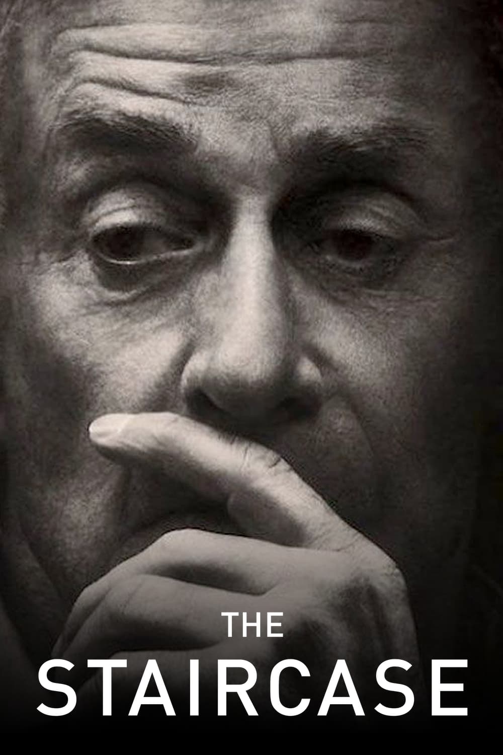 📺 Soupçons : The Staircase